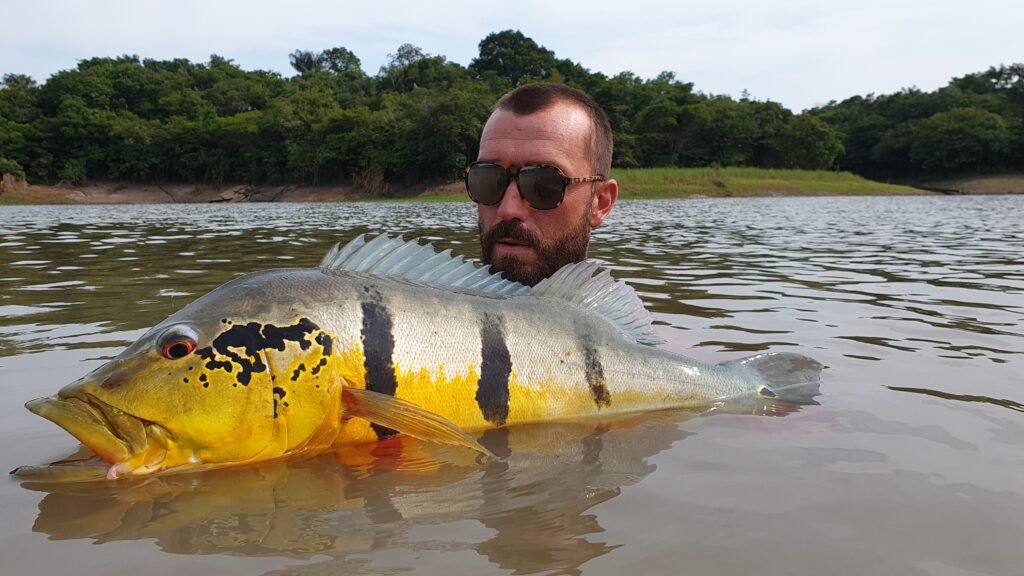 peacock bass amazonie peche voyage bresil 109