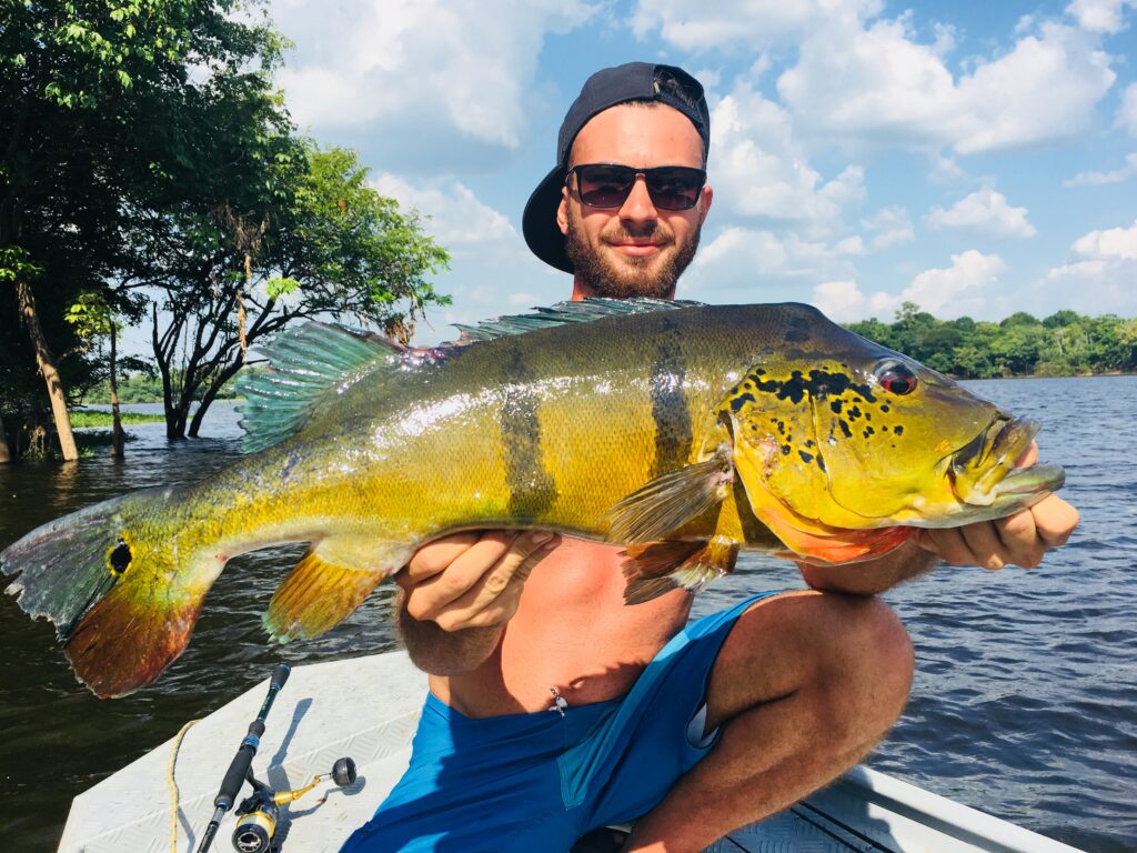 peacock bass amazonie peche voyage bresil 111