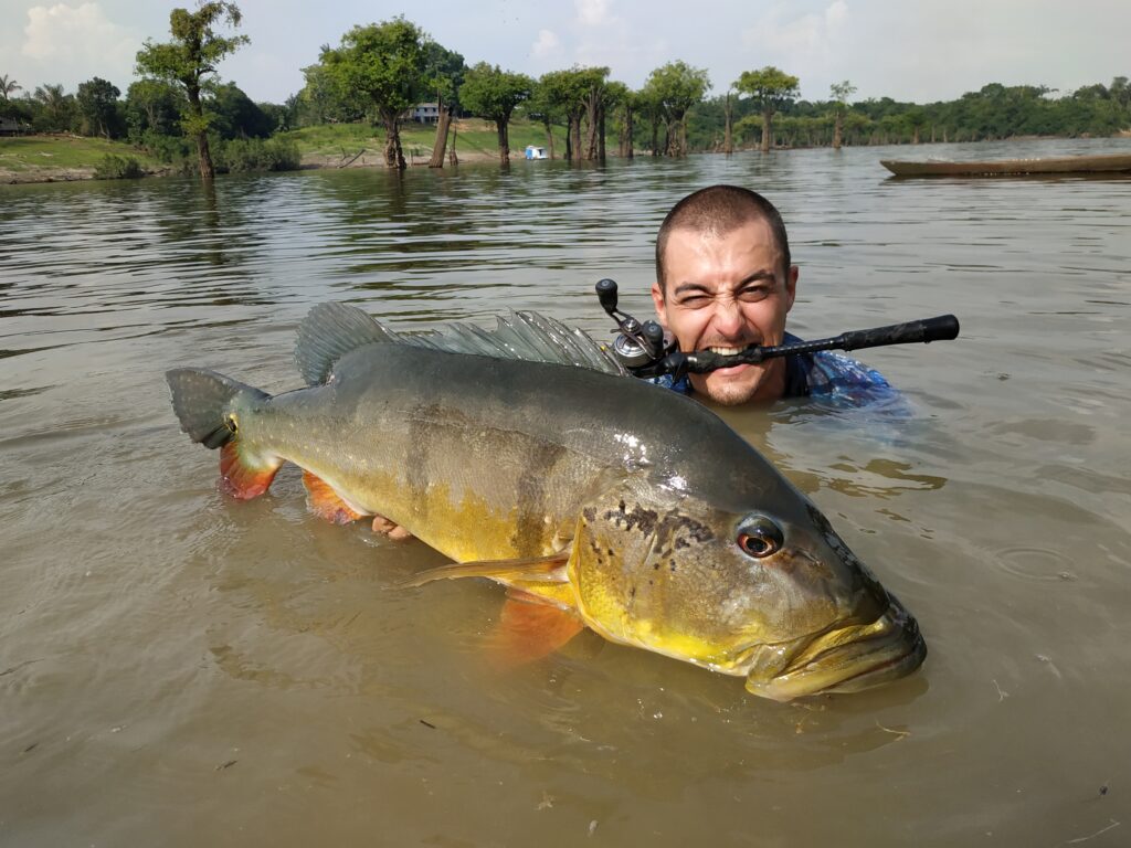 peacock bass amazonie peche voyage bresil 122