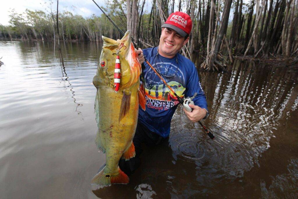 peacock bass amazonie peche voyage bresil 132