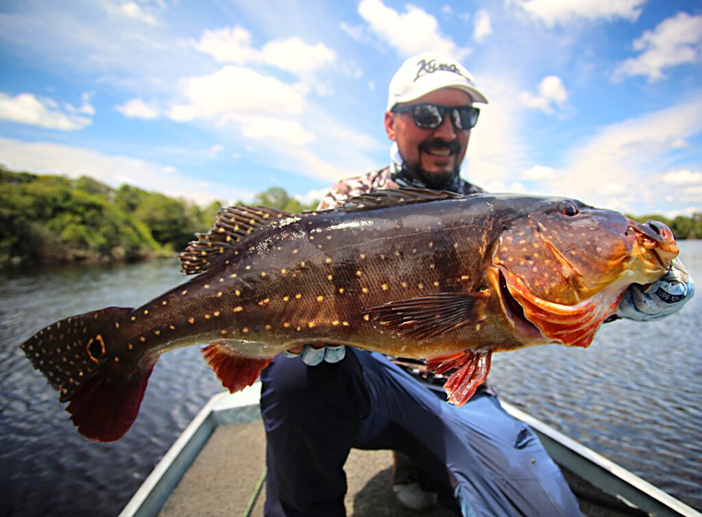 peacock-bass-amazonie-peche-voyage-bresil