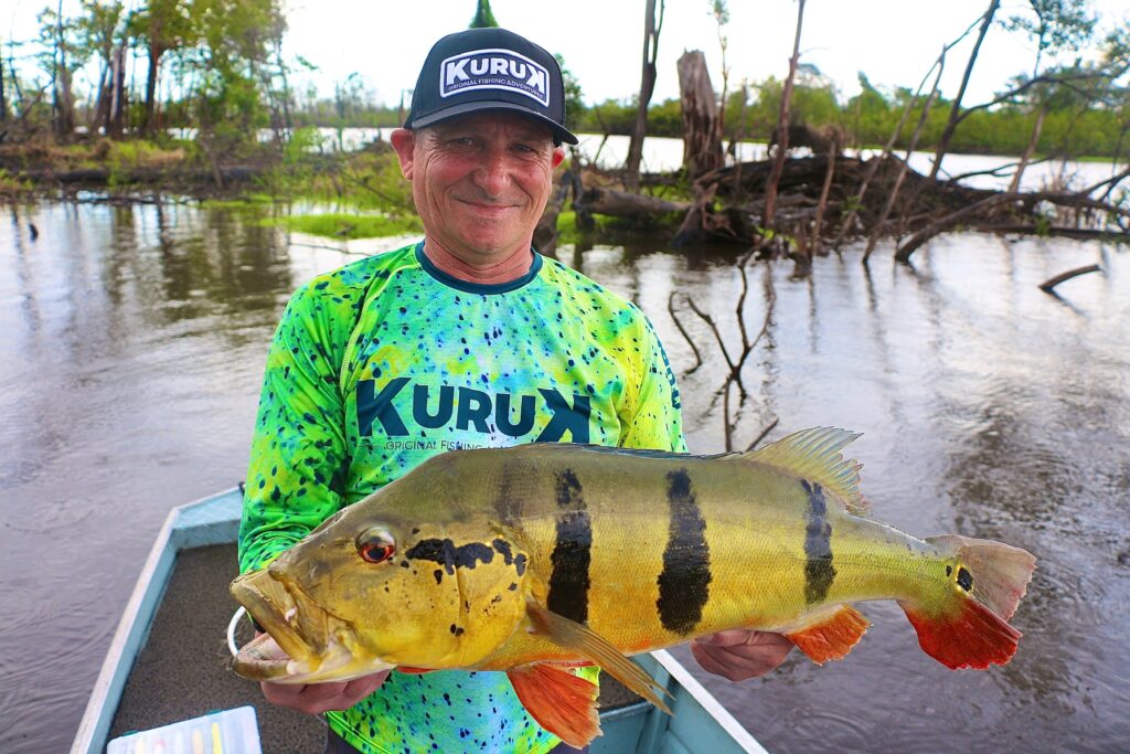 peacock bass amazonie peche voyage bresil 145