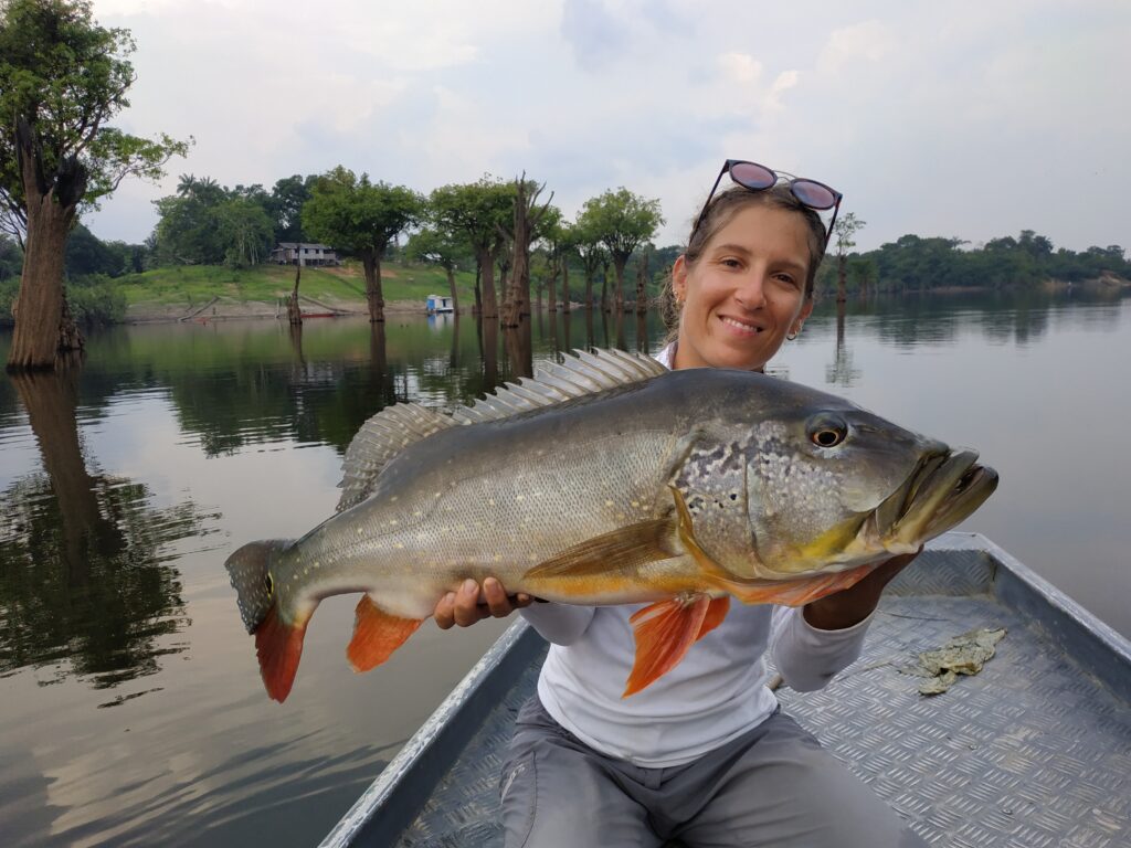 peacock bass amazonie peche voyage bresil 168