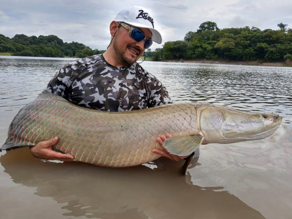 peacock-bass-amazonie-peche-voyage-bresil