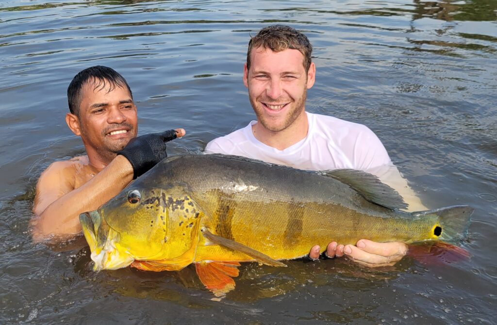 peacock-bass-amazonie-peche-voyage-bresil peacock-F5