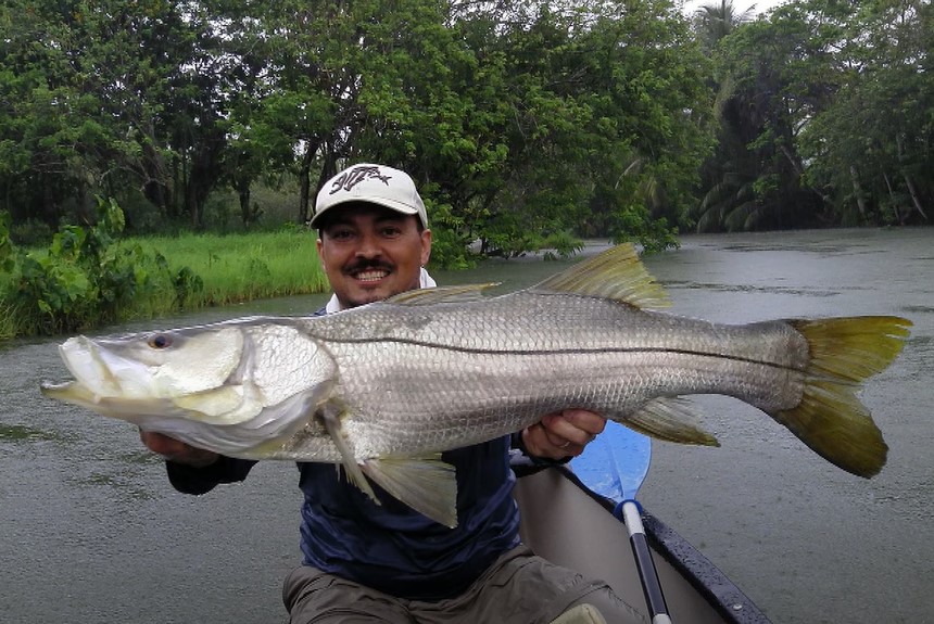 peacock bass amazonie peche voyage bresil 375