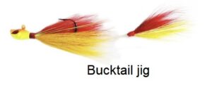 Peche peacock bass amazonie brésil voyage Bucktail