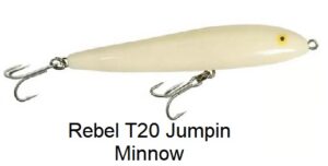 Peche peacock bass amazonie brésil voyage T20