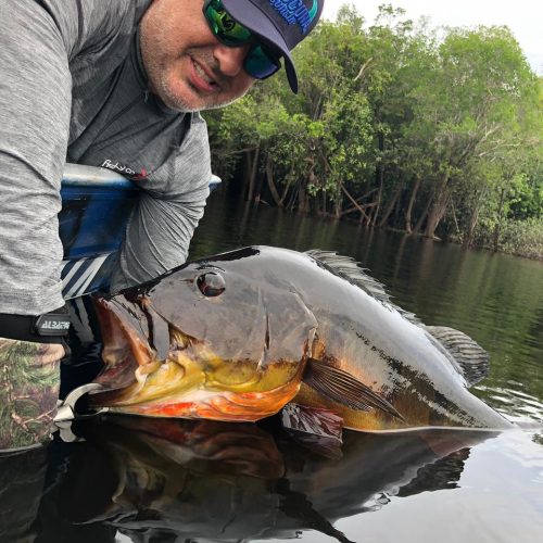 peacock bass amazonie peche voyage bresil 210