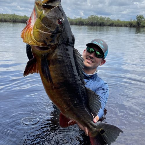 peacock bass amazonie peche voyage bresil T9